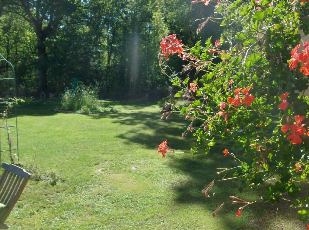 Mers-sur-Indre Le Chalet Des 4 Saisons Bed & Breakfast エクステリア 写真